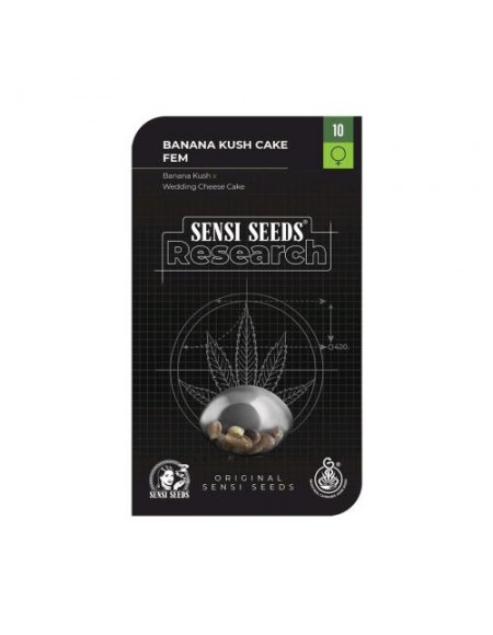 SENSI SEEDS - BANANA KUSH CAKE FEMMINIZZATA - RESEARCH - 10 SEMI