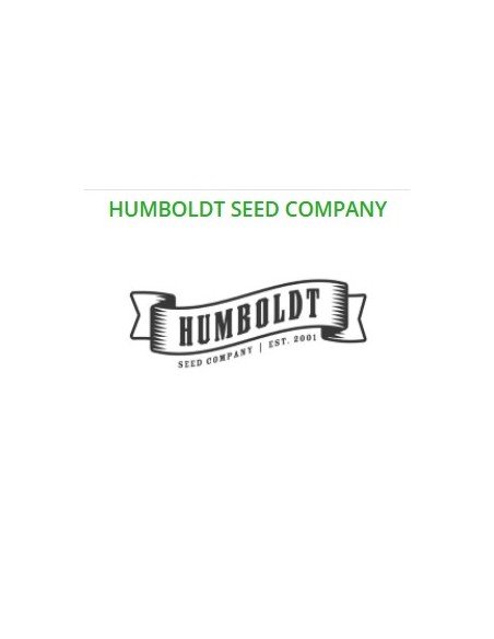 Humboldt Seed Company All Gas Og Semi