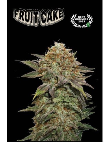 Fruit Cake Fem 3 Semi: Indica fruttata e potente