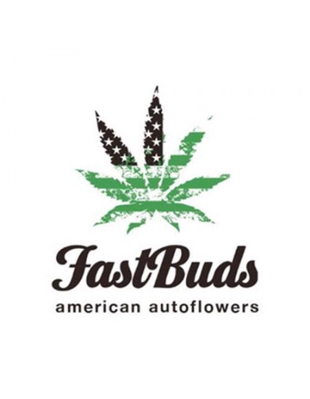 "Fast Buds Apricot Auto - 3 semi autofiorenti: raccolto rapido, sapore dolce di albicocca, resa abbondante."