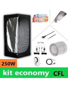 Kit Economy - Box 80x80x160 - Basso Consumo 250W, kit completo per  coltivazione indoor, lampada più potente.