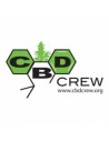 CBD Crew Fem