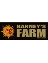 Barney's Farm Fem