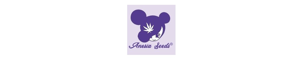 Anesia Seeds Auto: Potenza e Qualità nelle Migliori Autofiorenti